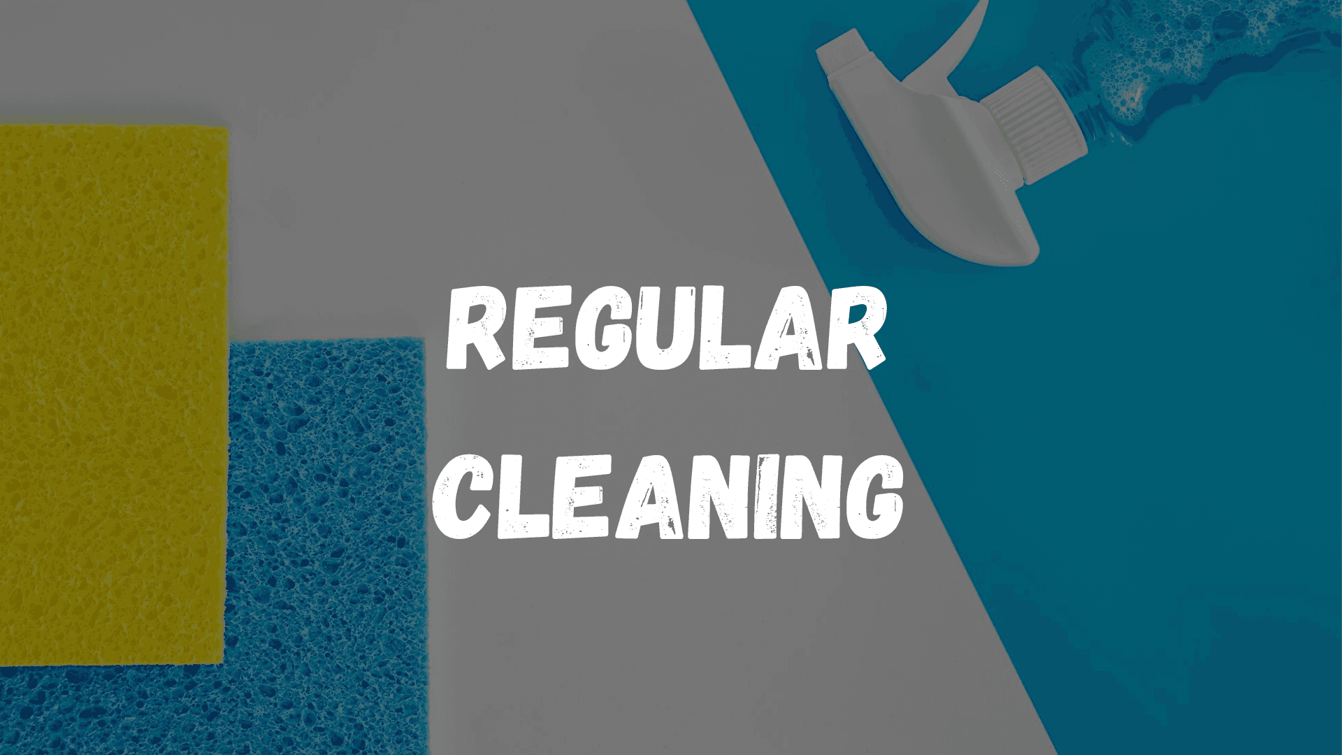 Regular Cleaning Adelaide
